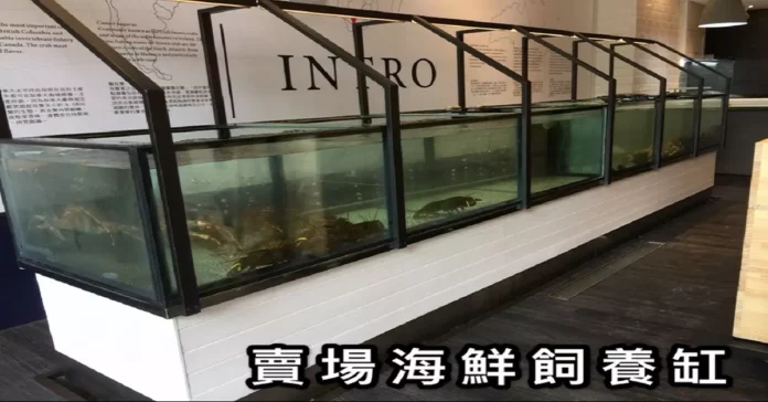 新北水族工程推薦