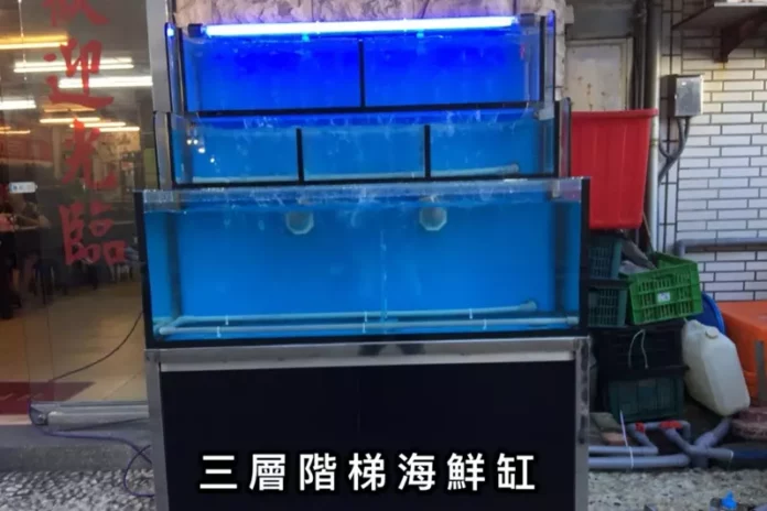 新北水族工程推薦