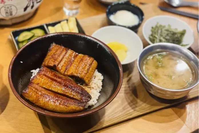 台北必吃鰻魚飯